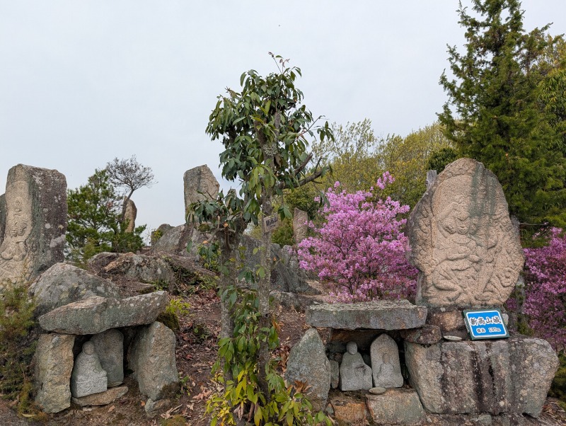 詰の丸の岩場と最高地点の様子
