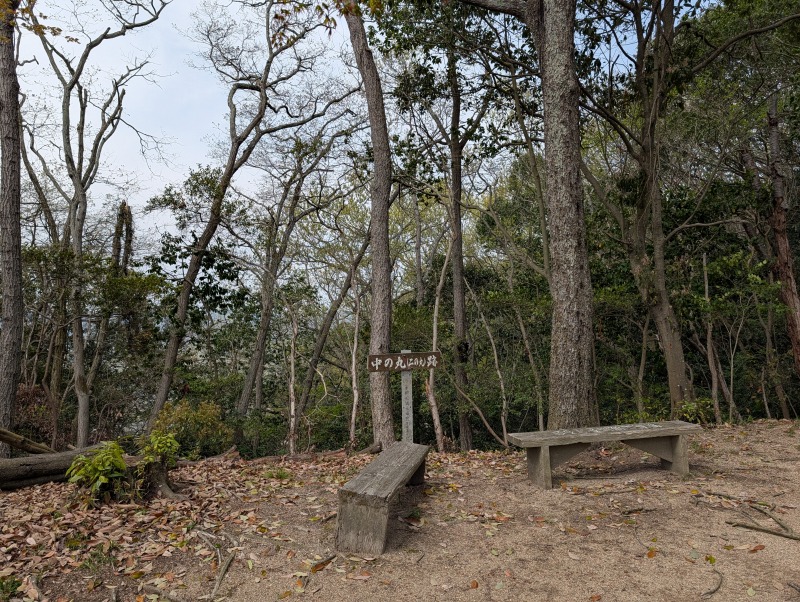 中の丸の曲輪配置と広がる平坦地