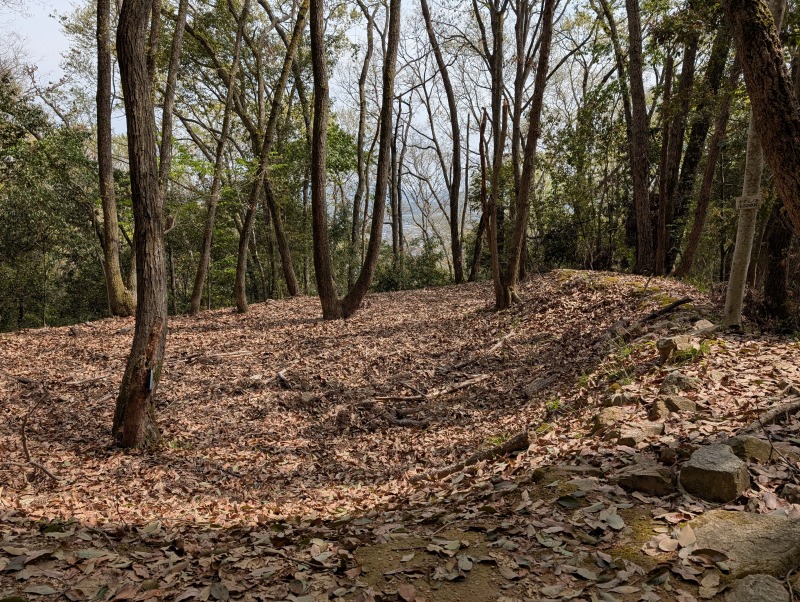 番所跡周辺の曲輪と登城路の風景