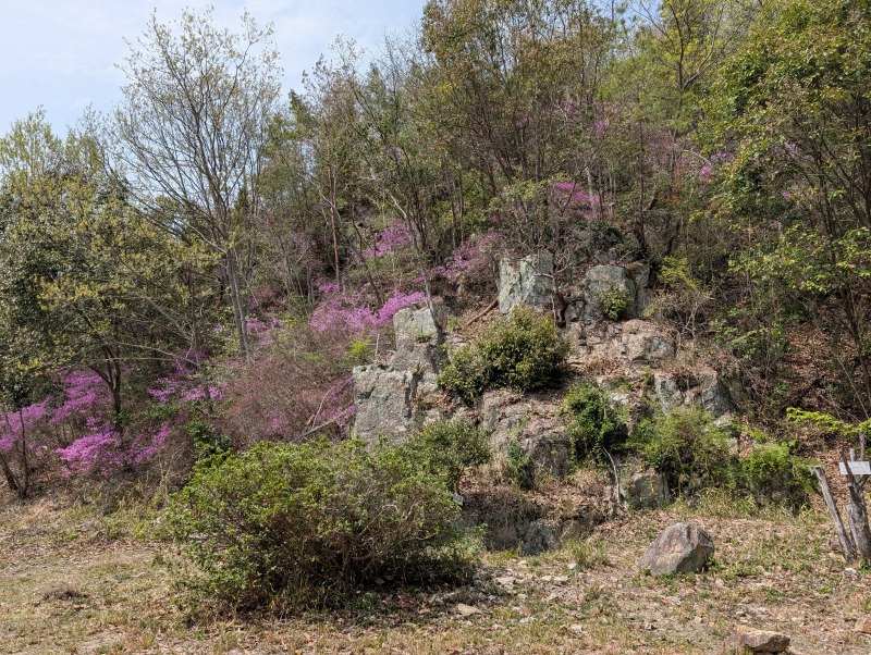 匡真寺跡の広がる寺域と遺構の様子