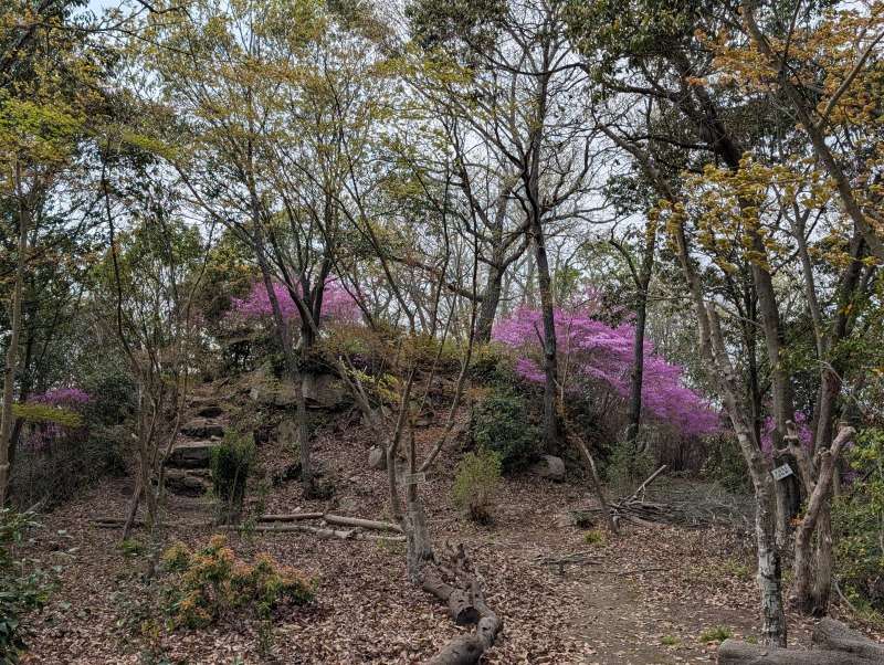 中の丸に残る土塁と防御構造